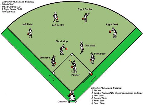 soft ball stages explained